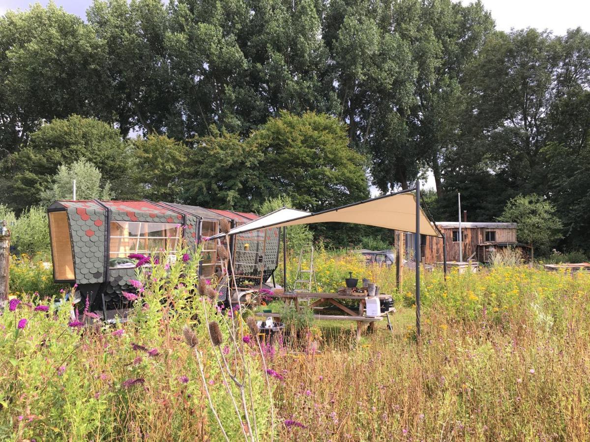 Amsterdam Farm Lodge מראה חיצוני תמונה