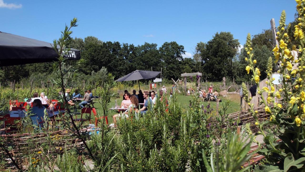 Amsterdam Farm Lodge מראה חיצוני תמונה