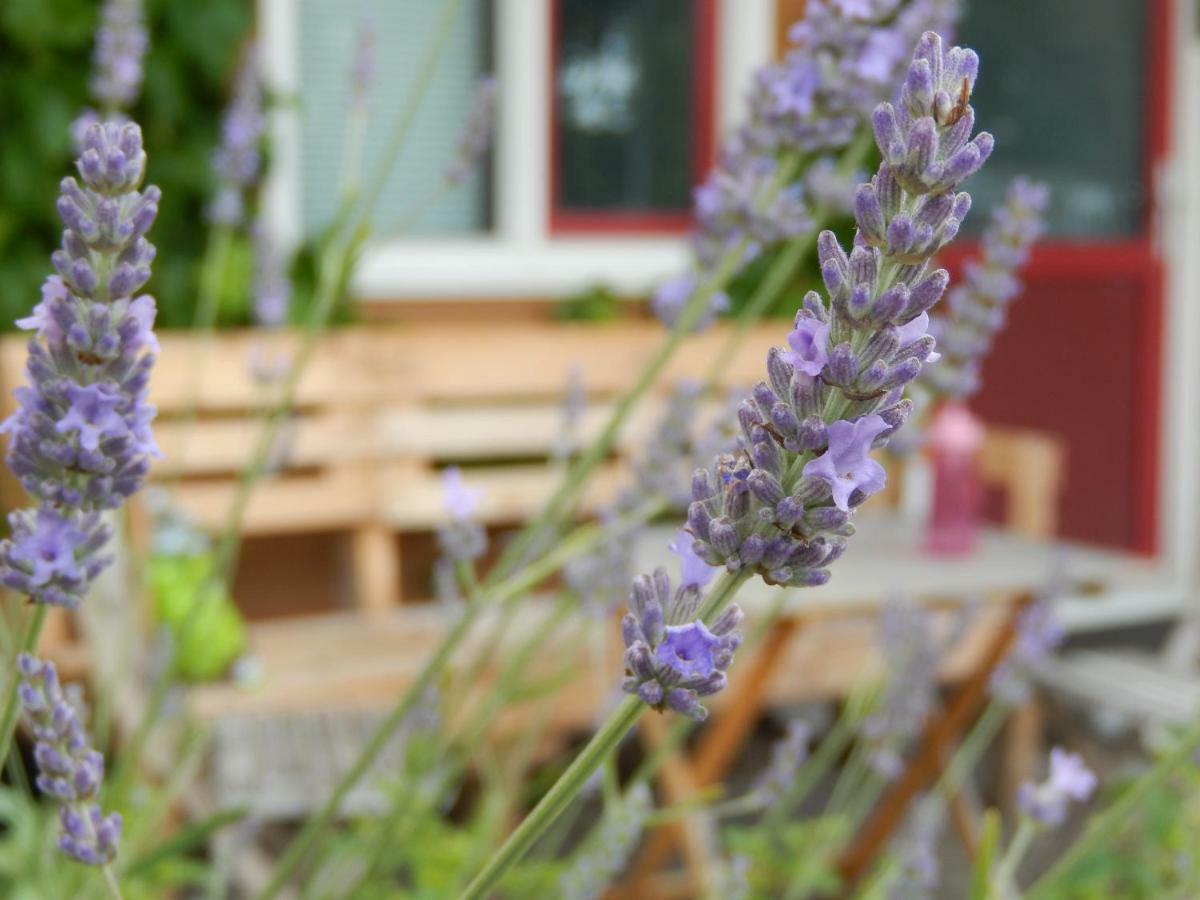 Amsterdam Farm Lodge מראה חיצוני תמונה